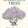 The Hidden Life of Trees Book in Sri Lanka