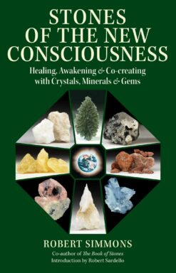Stones of the New Consciousness Book in Sri Lanka