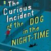 The Curious Incident of the Dog in the Night-time Book in Sri Lanka